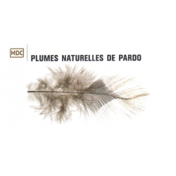 PLUMES NATURELLES DE PARDO