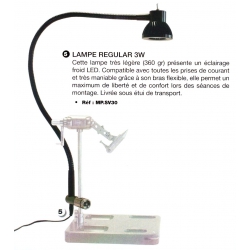 LAMPE REGULARD 3W