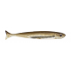 FLASH J HUDDLE 1" ( N° 05 ) 