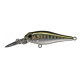 JADE ( N° SW20 )