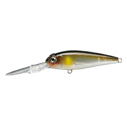 RETICLE SHAD ( N° 01 )