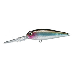 RETICLE SHAD ( N° 02 )