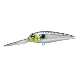 RETICLE SHAD ( N° 03 )