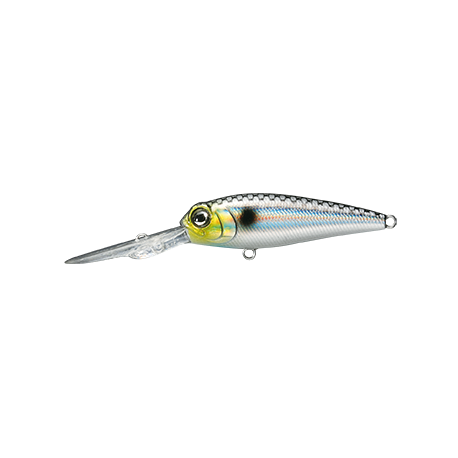 RETICLE SHAD ( N° 03 )