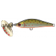 AR - HD MINNOW  HS ( N° 08 )