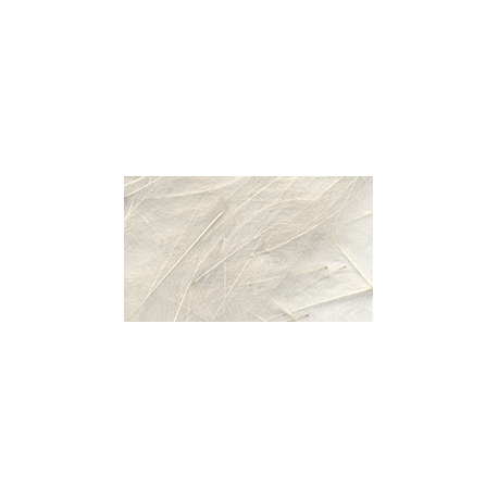 CCD PETITJEAN  ( N° 5 )
