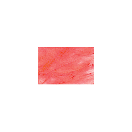 CCD PETITJEAN  ( N° 11 )