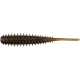 SPINY SHAD   ( N° 07 )