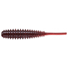 SPINY SHAD   ( N° 08 )