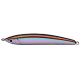 TROUTIN' SURGER  ( N° 02 )