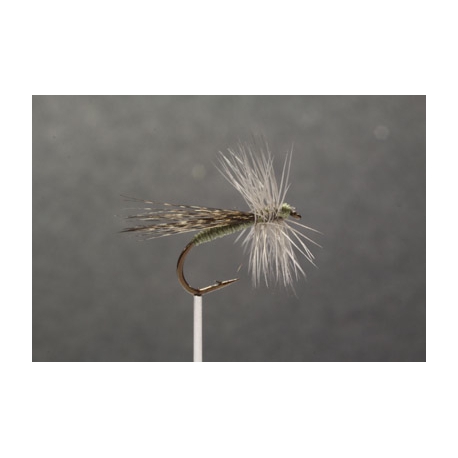 SEDGE