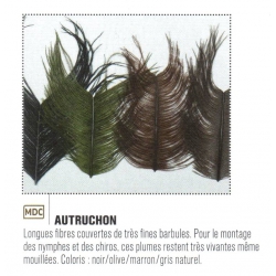 AUTRUCHON JMC