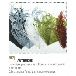AUTRUCHE JMC