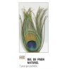 OEIL DE PAON NATUREL JMC