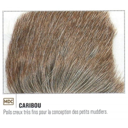CARIBOU JMC