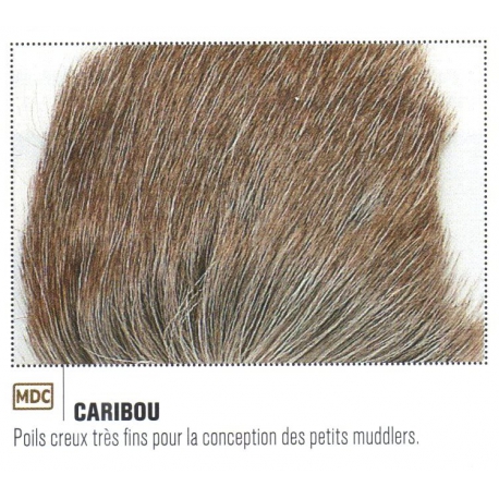 CARIBOU JMC