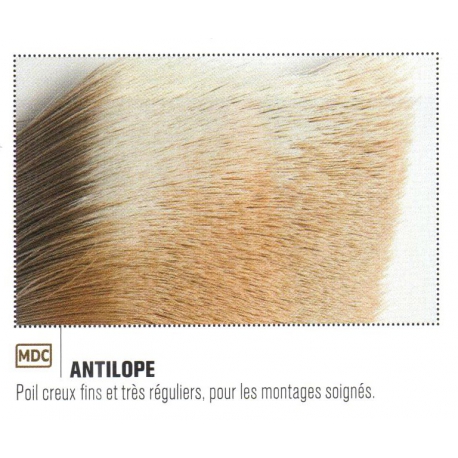 ANTILOPE JMC