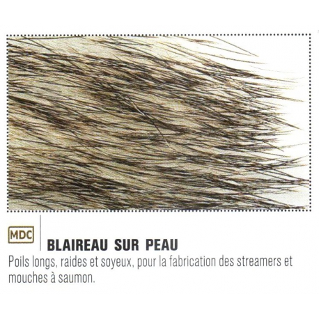BLAIREAU SUR PEAU JMC