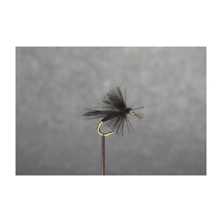 SEDGE (N° 201 )