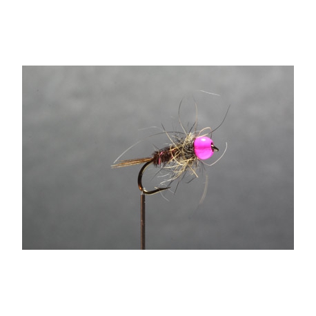 NYMPHE FAISANTAIL