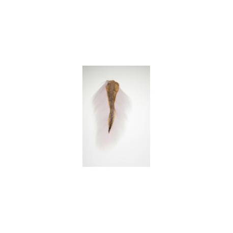 BUCKTAIL