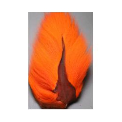 BUCKTAIL