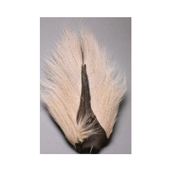 BUCKTAIL