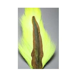 BUCKTAIL