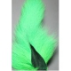 BUCKTAIL