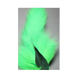 BUCKTAIL