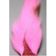 BUCKTAIL