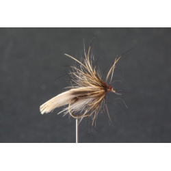 SEDGE