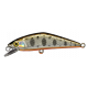 D CONTAT TYPE 2 ( N° 04 )