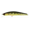 MINNOW 65 SP