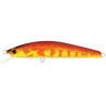 MINNOW 65 SP