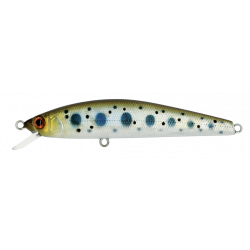 MINNOW 65 SP