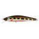 MINNOW 65 SP