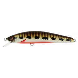 MINNOW 65 SP