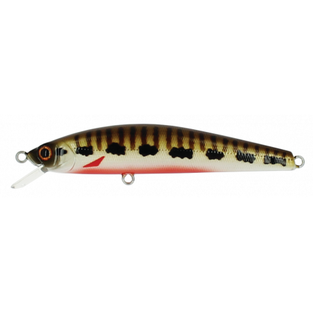 MINNOW 65 SP