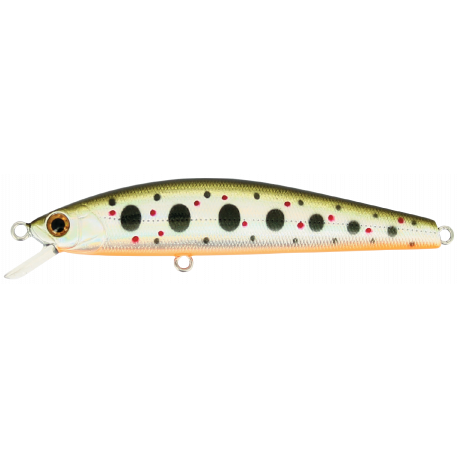 MINNOW 65 SP