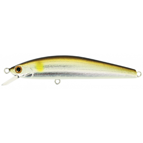 MINNOW 65 SP