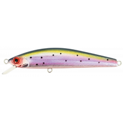 MINNOW 65 SP