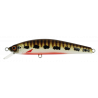 MINNOW 80 S