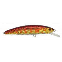 MINNOW 62 SP