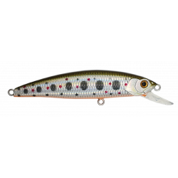 MINNOW 62 SP