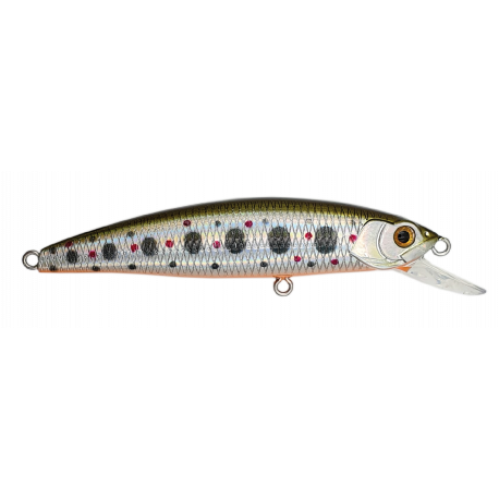 MINNOW 62 SP