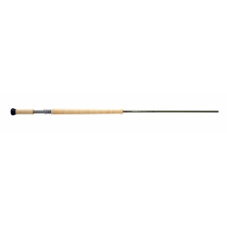 SONIC SPEY