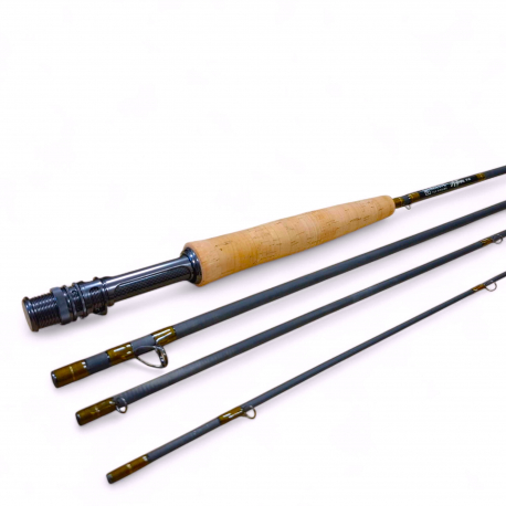 CANNE A MOUCHE NATIVE ANTHEM