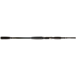 BFT 92 BIG FISH CLASSIC 8'6"  50 -70G