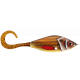 GUPPIE